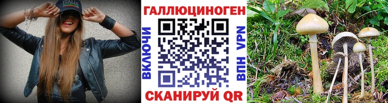Псилоцибиновые грибы Magic Shrooms Красноуральск