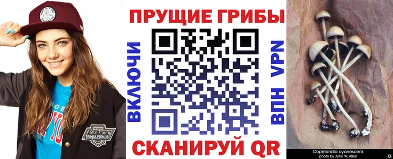 Галлюциногенные грибы мухоморы  Красноуральск 